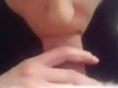 cutie sucks admirable