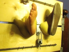 MIGHTY MOUSE HORNY PUPPY VIII