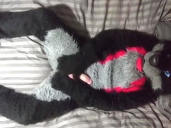 Sexy Fursuit Stripping