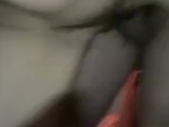 One of our webcam shows