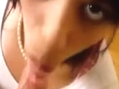swallow