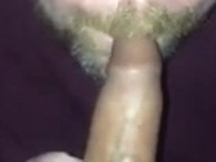 Concupiscent bud serves moist chorizo