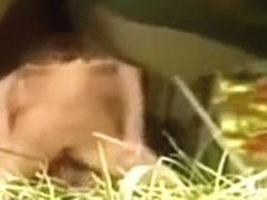 Camping Extrem scena