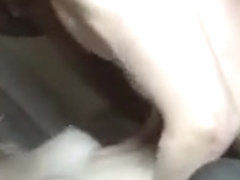 Gang bang dune brunette en rut