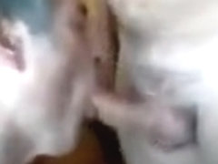 lasalopedevilleurban 2