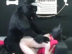 Minotaur and puppy mate