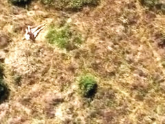 Naked guy likes boning girls on the sunny weekend