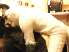 Fursuit sex 27
