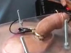 Squashed balls with elec cock torture cbt