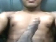 Blue Green Lounge Chair