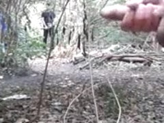 crusing in the forest