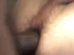 BBC Breeds White Ass