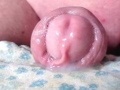 My foreskin cock with precum and cum # Nv138