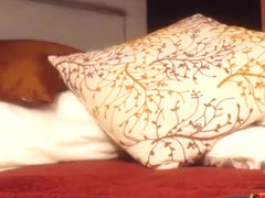 xclusivesecrets dilettante clip on 2/3/15 5:51 from chaturbate