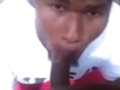 Head at the park in the day behind the lake