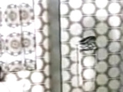 Classic â€” Fucking man