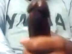 Black Cock Stamina :)