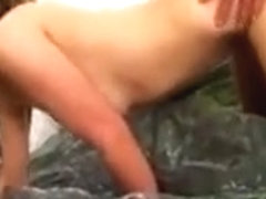 Search of the best cock