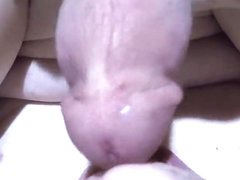 Selfsuck dick & balls