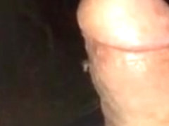 My dick for the mosquitoes