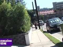 Busty tranny in spex assfucked before facial