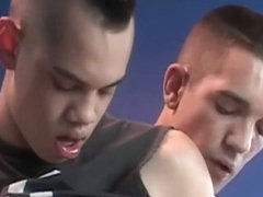 smelly toilet tasty latino