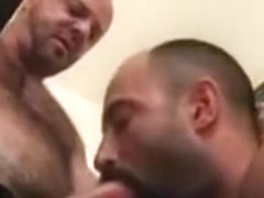 Two hairy bears fucking hard.