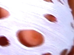 AYANAkyoko 7 -assortment