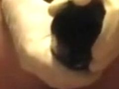 Anal masturbation with zucchini