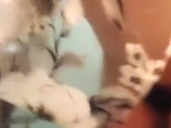 和小H最长篇】宾馆各角落艹H