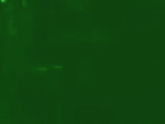 Cumming on her pussy.