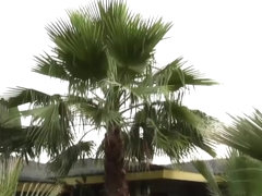 One of my best lesbian movie. D.Olive 003