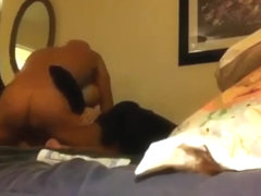 Mature chicken hawk catches his twink pray