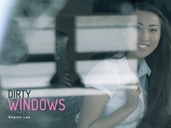 Sharon Lee in Dirty Windows - OfficeObsession