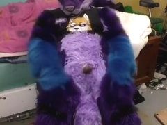 Roovaaku vibrating and pawing for the first time in fullsuit (re-upload)