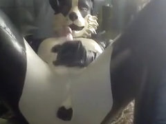 rubber ****polish up! paw off!