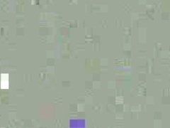 Maria likes it !!!!!!!!!