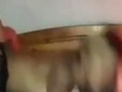 Sexy amateur shemale sucking   fucking