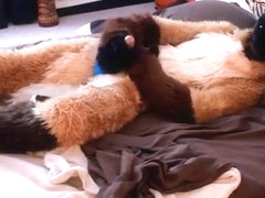 Waking up from a puppy-nap