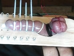 Cock and Ball Bondage