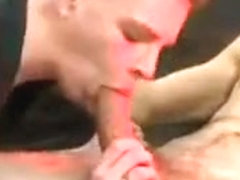 BB Fotosession - nial