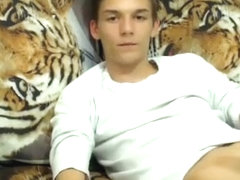 Tiger Vid 16