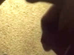 Ebony sucking dick like a pro