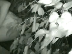 A nightcam voyeur video of a girl pissing in the bushes