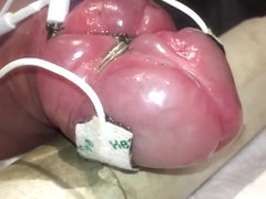Subject C's beautiful pumped cock milked with estim